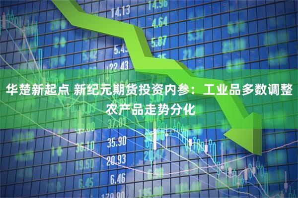 华楚新起点 新纪元期货投资内参:工业品多数调整 农产品走势分化