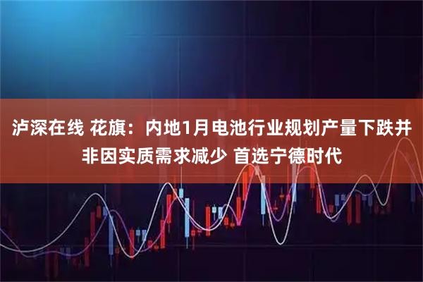 泸深在线 花旗：内地1月电池行业规划产量下跌并非因实质需求减少 首选宁德时代