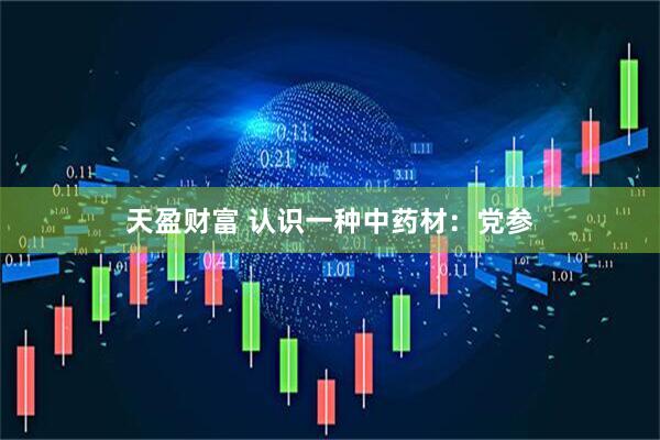 天盈财富 认识一种中药材：党参